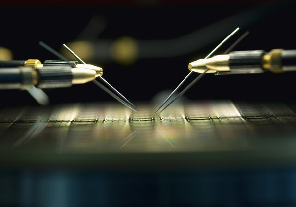 Comment faire pousser des micro-pousses chez soi pour une alimentation saine?